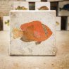minilito en piedra litografica de peces naturalitas