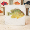 minilito en piedra litografica de peces naturalitas