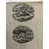 Piedra litográfica edicion anatomia descriptiva cerebros. Lamina 139