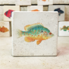 minilito en piedra litografica de peces naturalitas