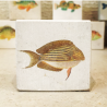 minilito en piedra litografica de peces naturalitas