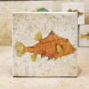 minilito en piedra litografica de peces naturalitas